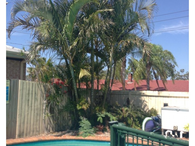 3 Granville Street, Eight Mile Plains QLD 4113