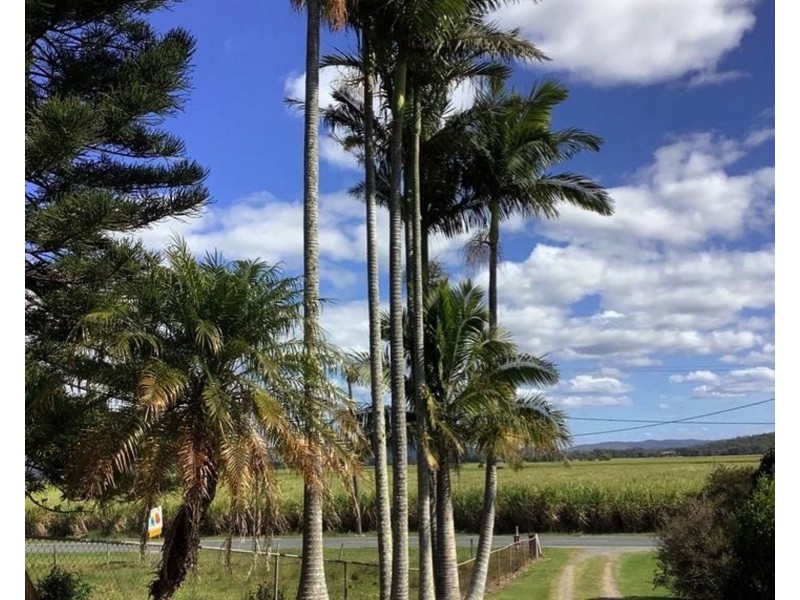 717 Stapylton-Jacobs Well Road, Woongoolba QLD 4207