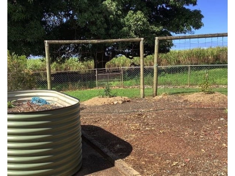 717 Stapylton-Jacobs Well Road, Woongoolba QLD 4207