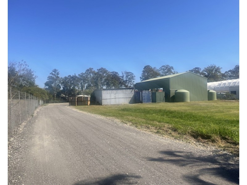 55 Cairns Street, Loganholme QLD 4129
