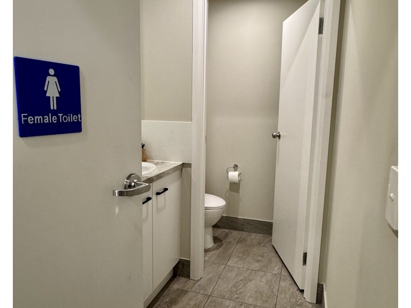 17 DALTON, Upper Coomera QLD 4209