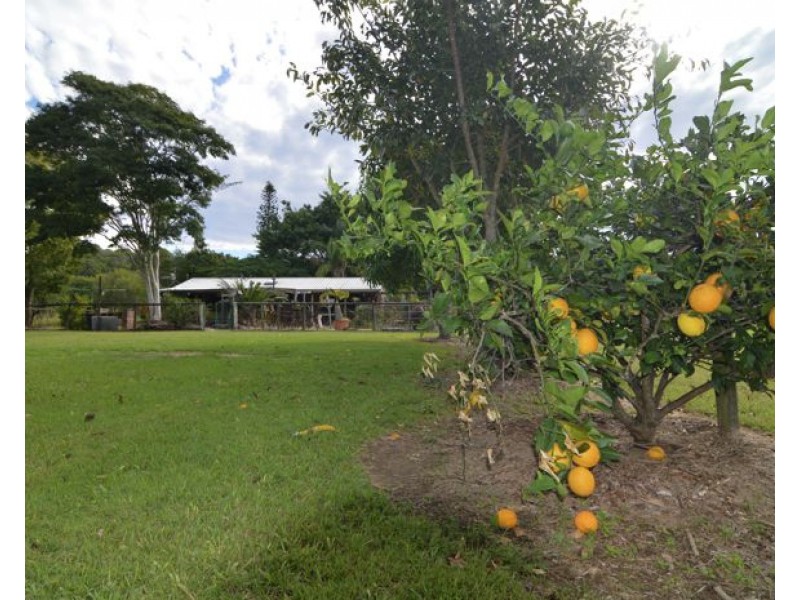 325 Hotham Creek Road, Willow Vale QLD 4209