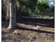 108 Rotary Park Road, Alberton QLD 4207