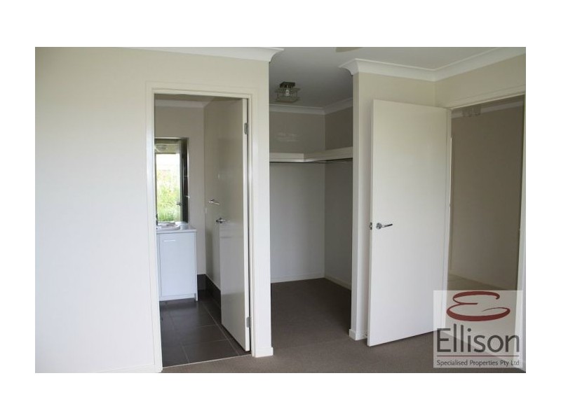 14 Olivevale Street, Ormeau QLD 4208