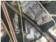Lot 13/55-65 Christensen Road, Stapylton QLD 4207