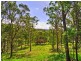 55 Leaver Court, Ormeau QLD 4208