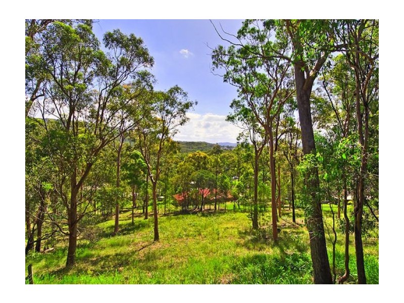 55 Leaver Court, Ormeau QLD 4208