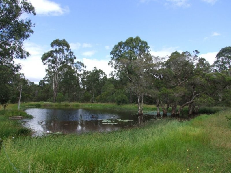 205 Mundoolun Road, Jimboomba QLD 4280