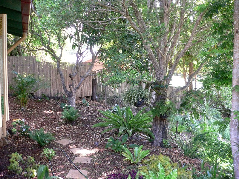 19 Miva Street, Maleny QLD 4552