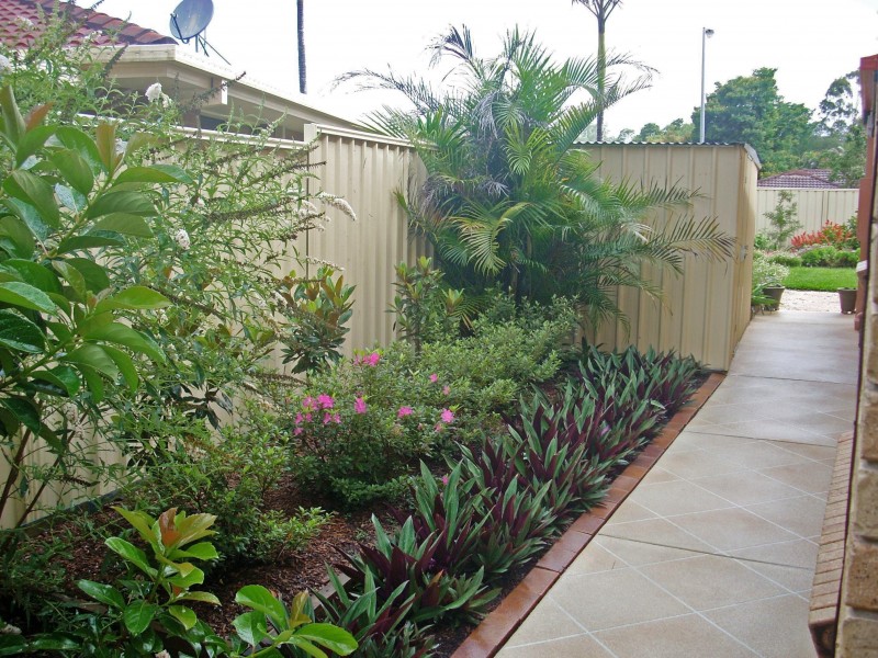 19 Souter Street, Nerang QLD 4211