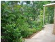19 Souter Street, Nerang QLD 4211