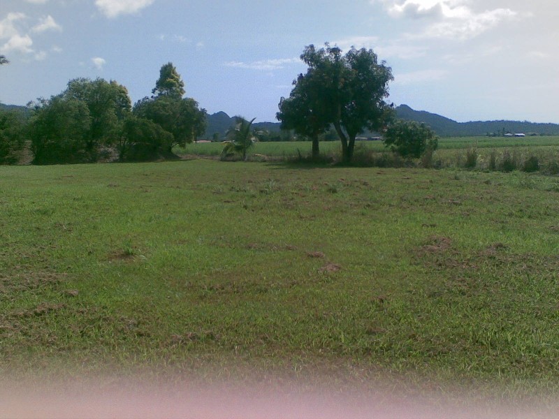 177a Howard-Kennedy Drive, Babinda QLD 4861