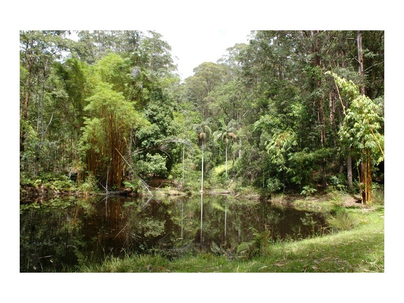 77 Brooks Road, Eudlo QLD 4554