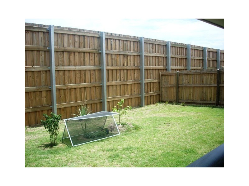 38 Shearwater Terrace, Springfield Lakes QLD 4300