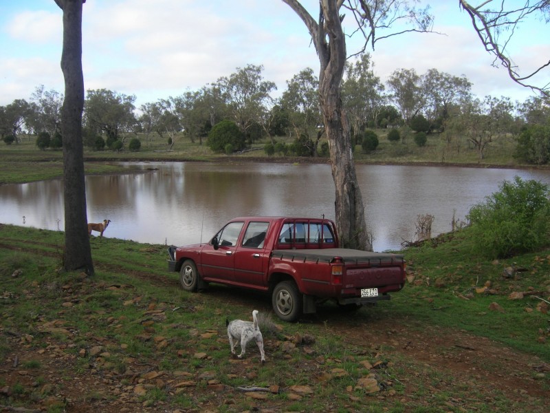 79 Ehrlich Road, Linthorpe, Toowoomba QLD 4350