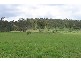 8 Barambah Court, Redbank Plains QLD 4301