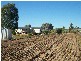 4215 Leyburn / Cunningham Road, Warwick QLD 4370