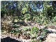 13 Highfields Road, Highfields QLD 4352