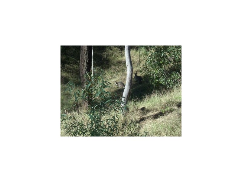 93 George Holt Drive, Mount Crosby QLD 4306