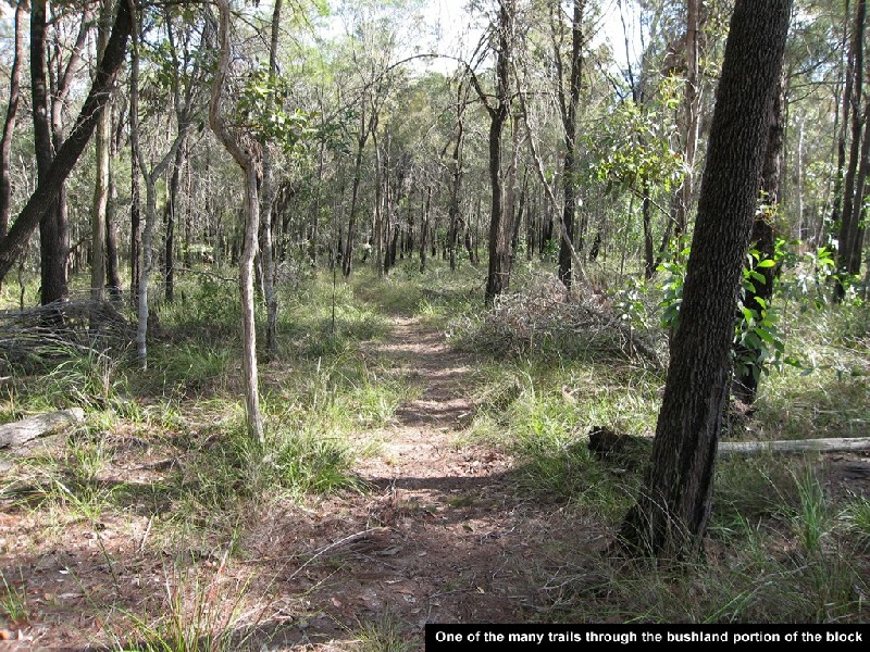 32 Woodend Court, Park Ridge QLD 4125