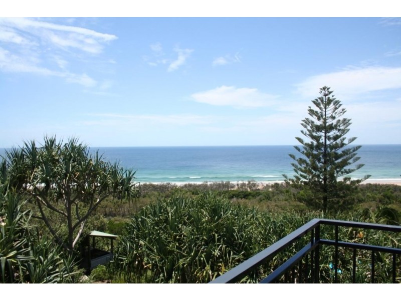 41 Pelican Street, Peregian Beach QLD 4573