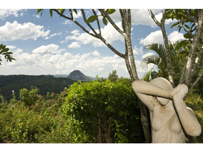 532 Black Mountain Road, Cooroy QLD 4563