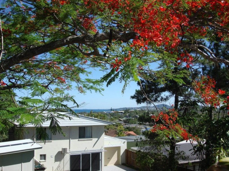 36 Pelican Street, Peregian Beach QLD 4573
