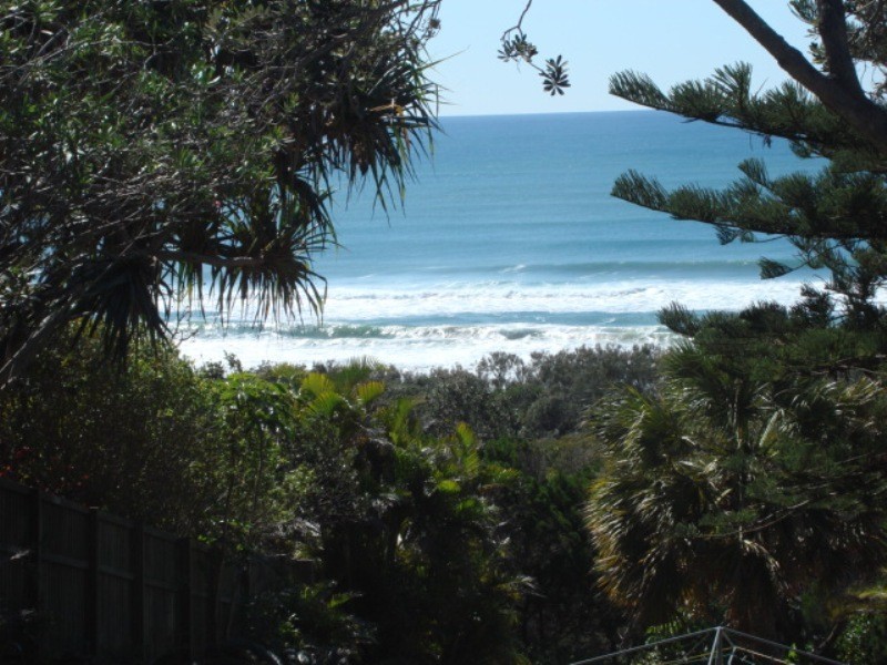 36 Pelican Street, Peregian Beach QLD 4573