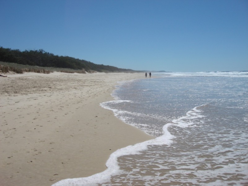 36 Pelican Street, Peregian Beach QLD 4573