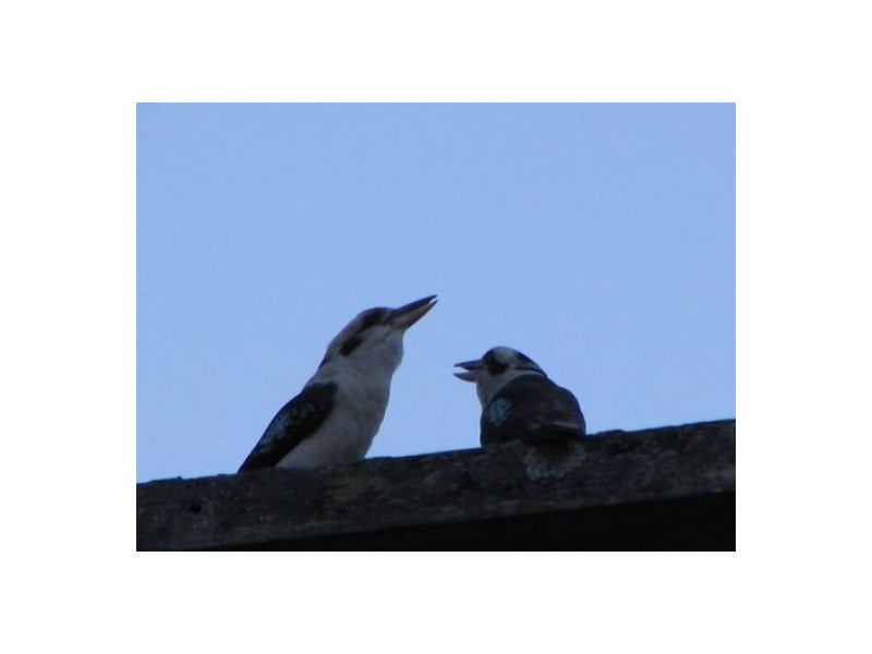 7 Toompany Street, Amity Point QLD 4183