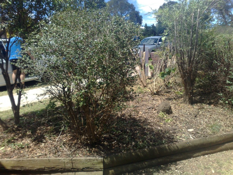 60 Blue Gum Drive, Toowoomba QLD 4350