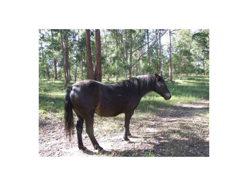 4204 Esk Hampton Rd, Toowoomba QLD 4350