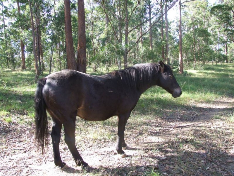 4204 Esk Hampton Rd, Toowoomba QLD 4350