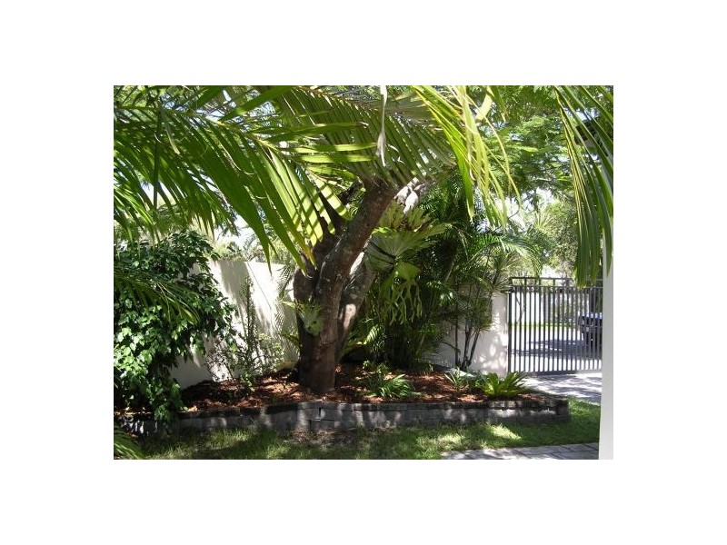 41  Bruce Ave, Paradise Point QLD 4216