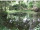 399 Perwillowen Road, Nambour QLD 4560