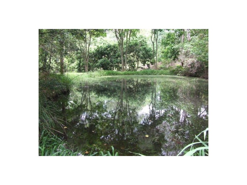 399 Perwillowen Road, Nambour QLD 4560