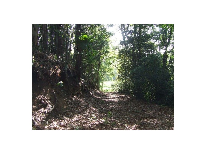 399 Perwillowen Road, Nambour QLD 4560