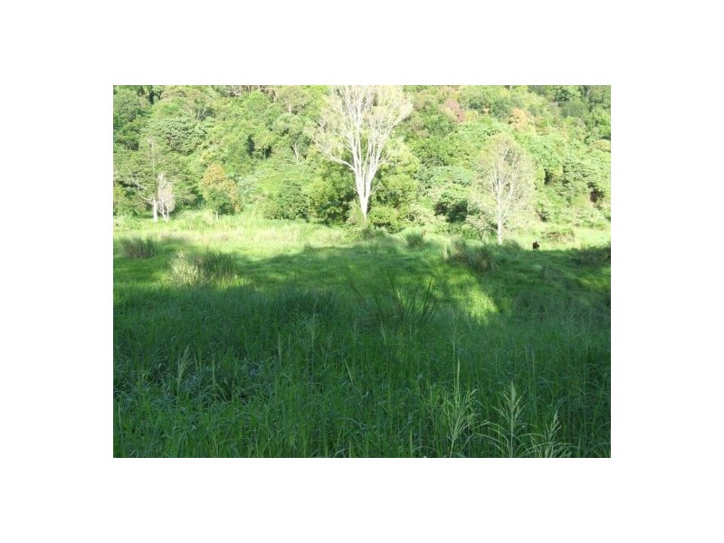 399 Perwillowen Road, Nambour QLD 4560