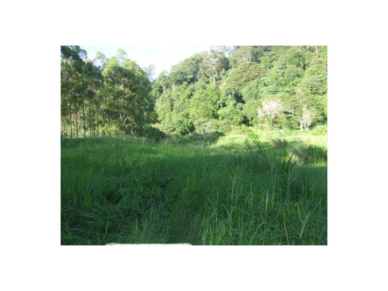 399 Perwillowen Road, Nambour QLD 4560