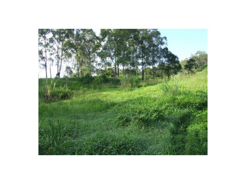 399 Perwillowen Road, Nambour QLD 4560