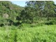 399 Perwillowen Road, Nambour QLD 4560