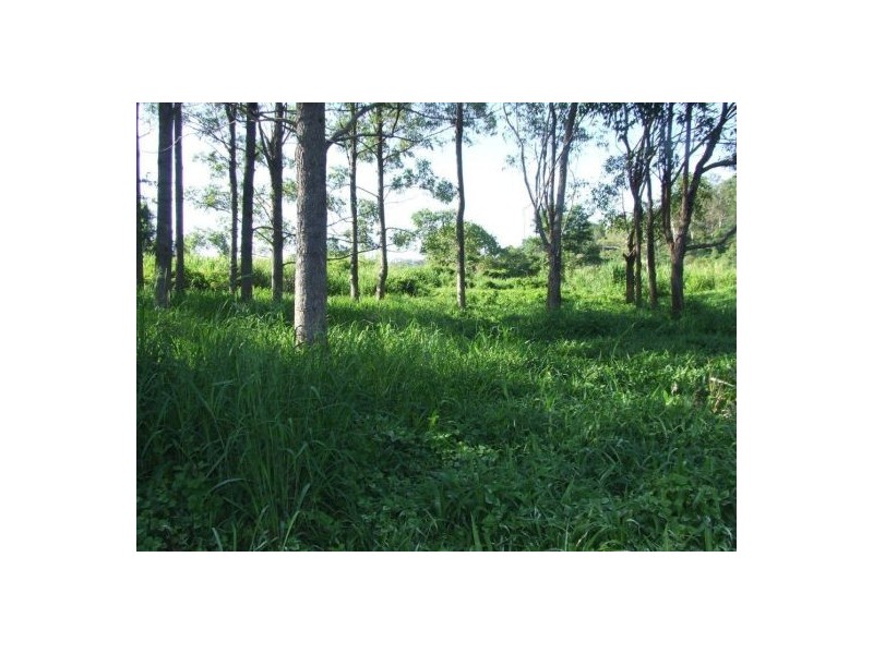 399 Perwillowen Road, Nambour QLD 4560