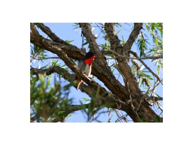 7 / 20 Bright Avenue, Labrador QLD 4215