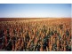 4684 Toowoomba Cecil Plains Road, Toowoomba QLD 4350