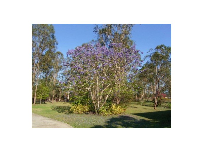 205 Mundoolun Rd, Jimboomba QLD 4280