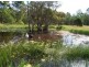 205 Mundoolun Rd, Jimboomba QLD 4280