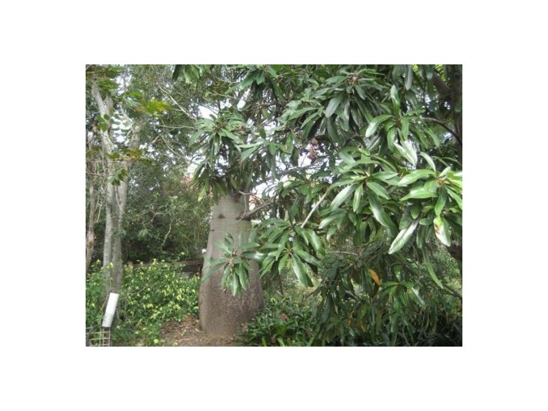 32 Aragon, Indooroopilly QLD 4068