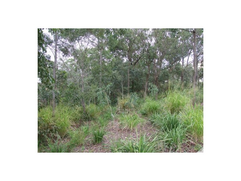 75 Chapman Pl, Oxley QLD 4075