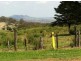 3a Kimberley Crt., Blue Mountain Heights QLD 4350
