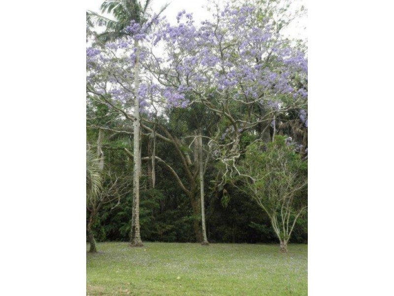 506 Bli Bli Rd, Bli Bli QLD 4560